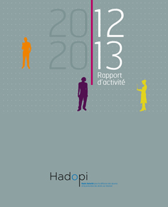 Rapport d'activité 2012-13