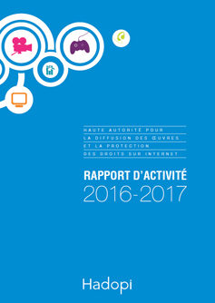 Rapport d'activité annuel 2016-17